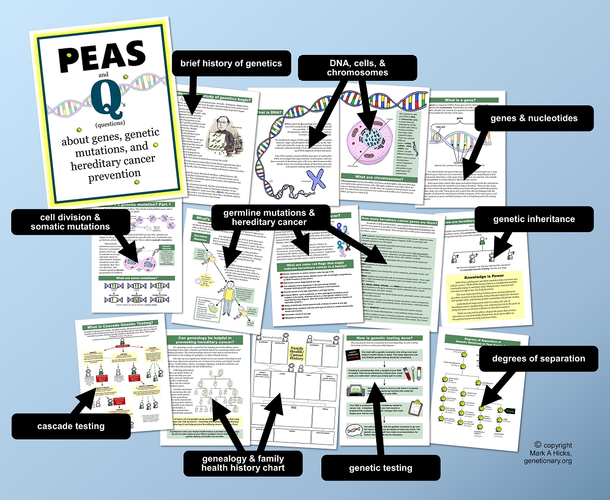 Hereditary Cancer Prevention Book -- Peas and Q's (questions) about genes, genetic mutations, and hereditary cancer.