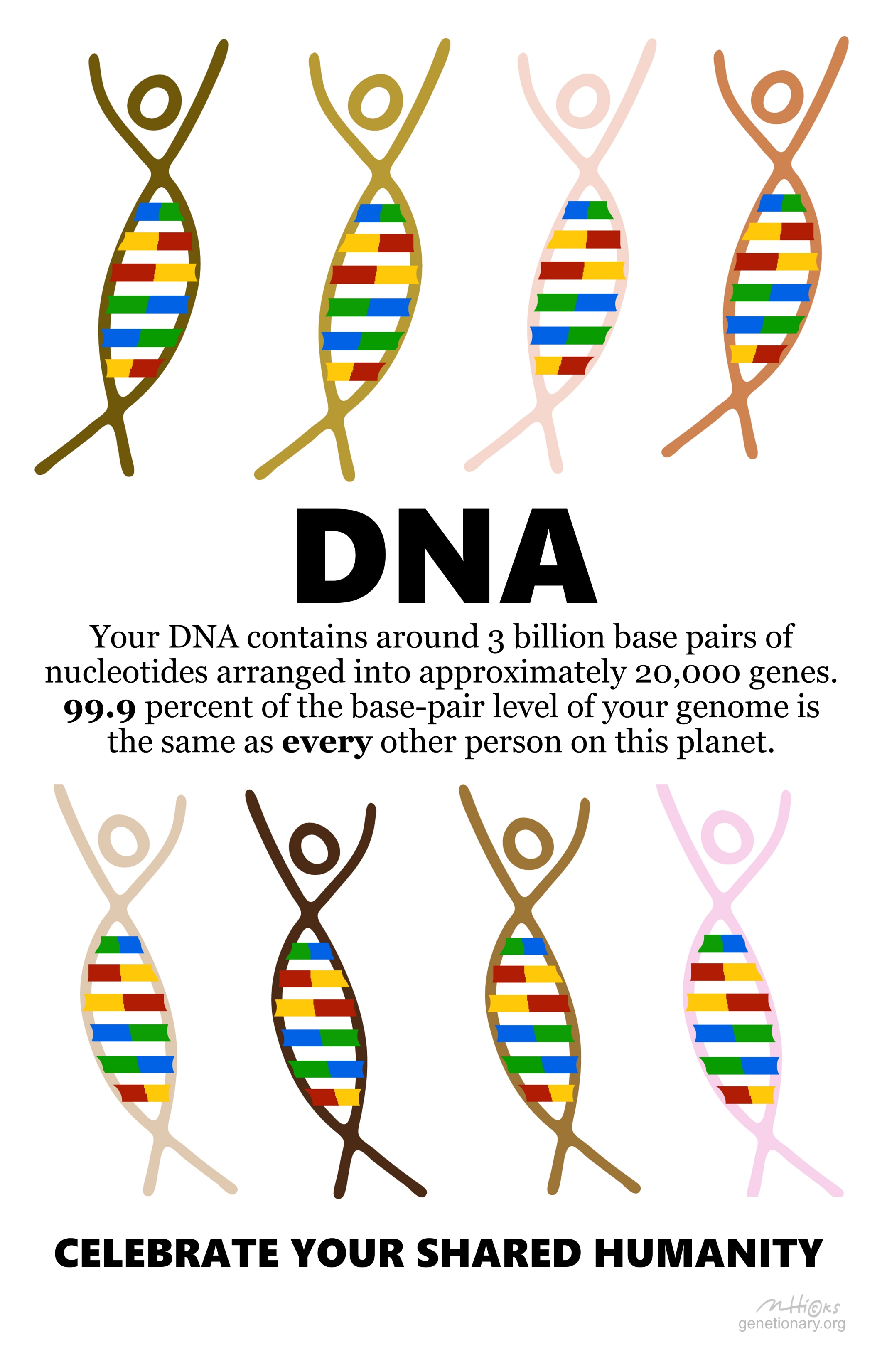 DNA poster