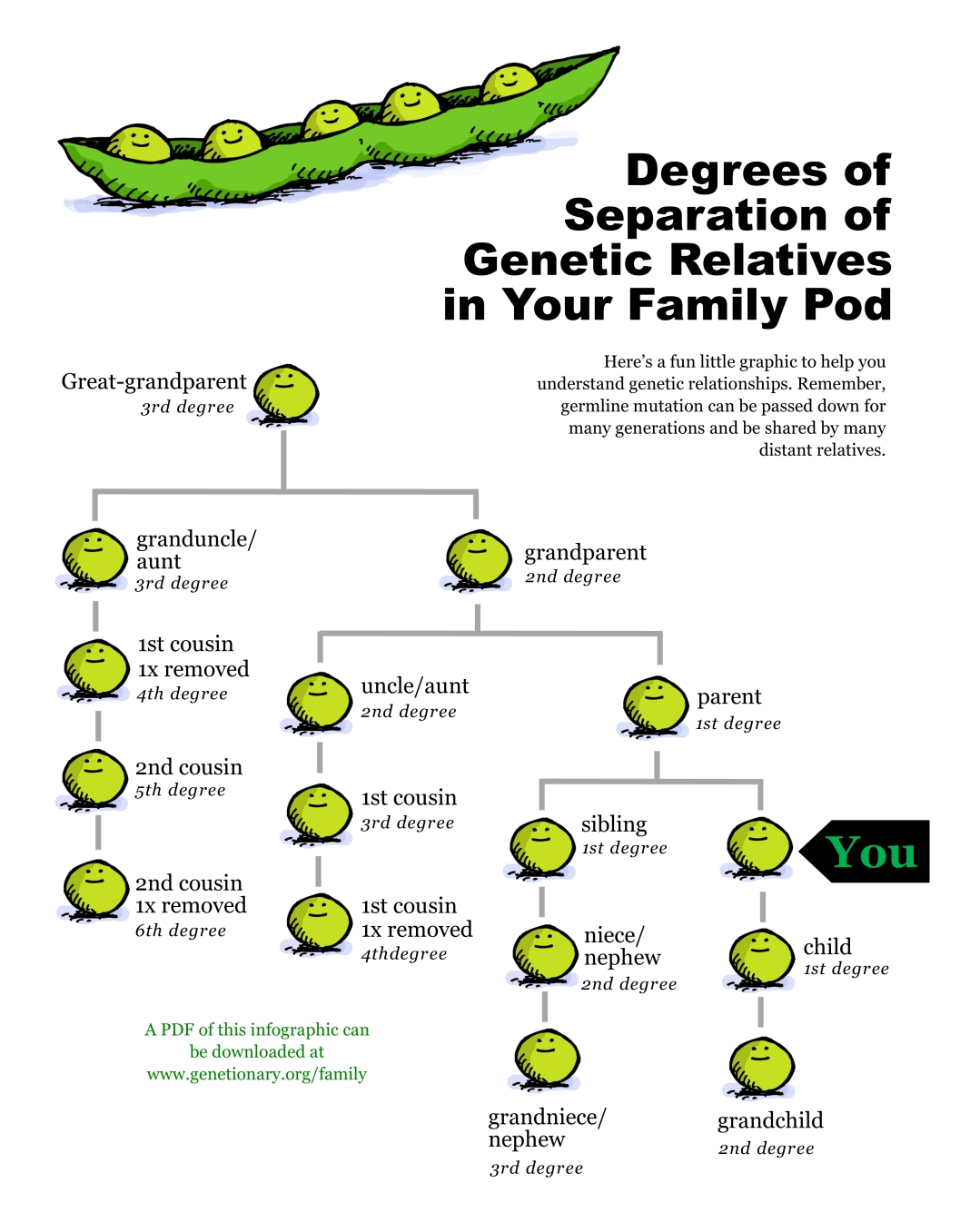 Degrees of Separation of Genetic Relatives in Your Family Pod