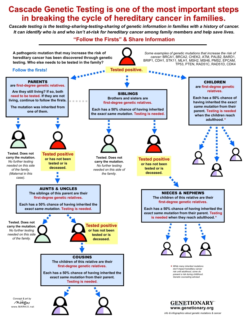 Cascade Testing Infographic thumbnail